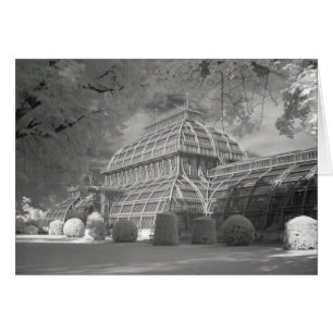 Palmenhaus