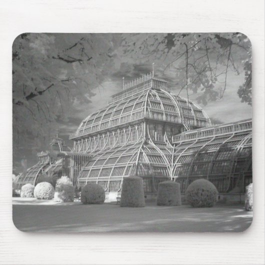 Palmenhaus Muismat (Voorkant)
