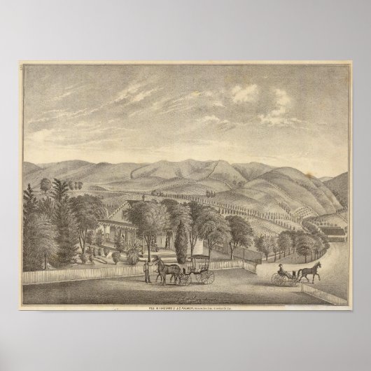 Palmer res, wijngaard poster (Voorkant)