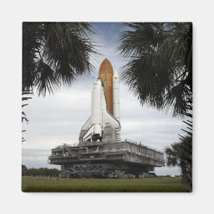 Palmetto-bomen lijst space shuttle Endeavor Magneet