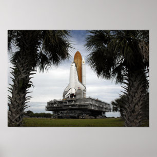 Palmetto-bomen lijst space shuttle Endeavor Poster