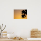 Palmetto-boom, zonnebrand, Florida Poster (Keuken)