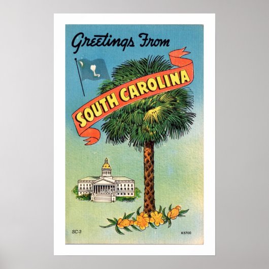 Palmetto Palm uit South Carolina 16x24 print (Voorkant)
