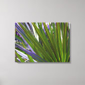 Palmetto Tropicale Canvas Afdruk (Voorkant)