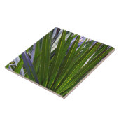 Palmetto Tropicale Tegeltje (Zijkant)