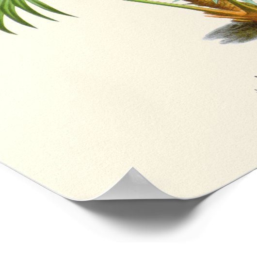  palmflessen poster (Hoek)