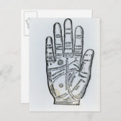 Palmie Briefkaart (Voorkant / Achterkant)