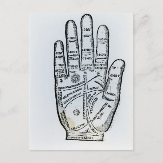 Palmie Briefkaart (Voorkant)