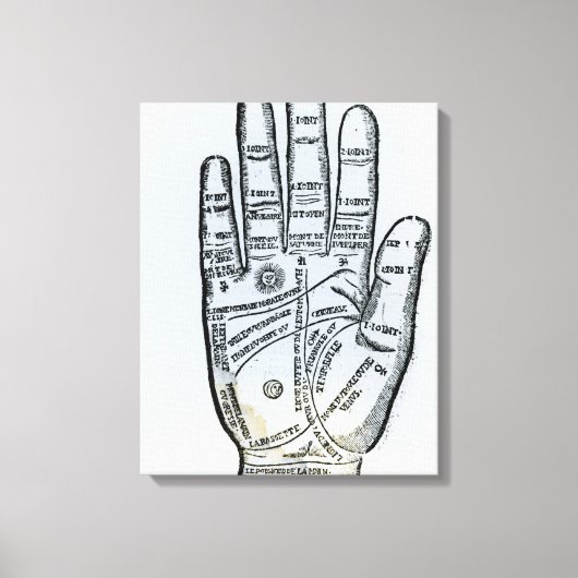 Palmie Canvas Afdruk (Voorkant)