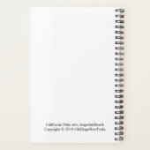 Palmier de Californie (Dos)