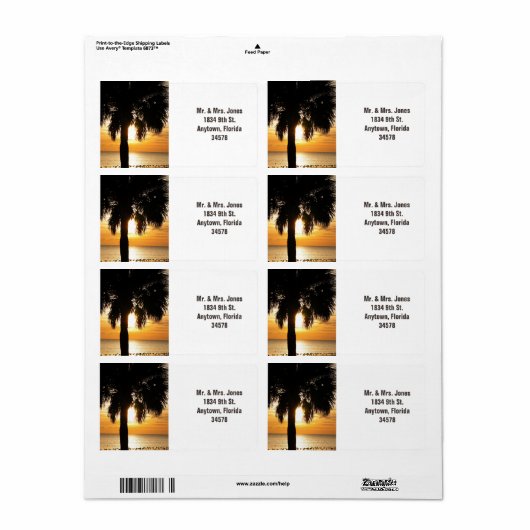 Palmier en Floride étiquette de adresse couché de  (Feuille entière)