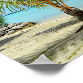 Palmier et affiche de la station balnéaire (Coin)