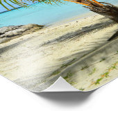 Palmier et impression photo du complexe aquatique (Coin)