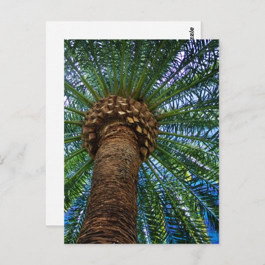 Palmier Et Plage Mariage Invitation (Devant / Derrière)