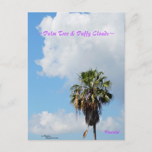 Palmier Puffy nuages Florida Carte postale (Devant)