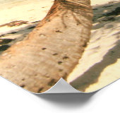 Palmier sur la Riviera Maya, affiche mexicaine (Coin)