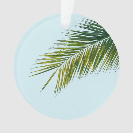 Palmier Tropical Vert sur Fond Bleu Clair (devant)