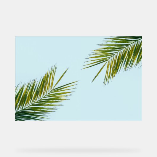 Palmier Vert Tropical sur Fond Bleu Clair (Recto)