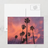 Palmiers au coucher du soleil carte postale (Devant / Derrière)