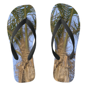 Palmiers Ciel bleu tongs