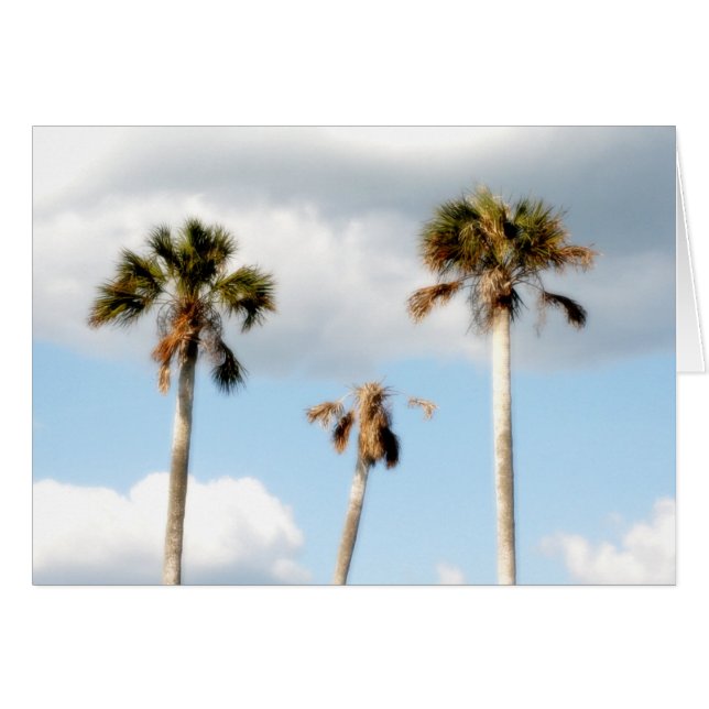 Palmiers de plage (Devant horizontal)