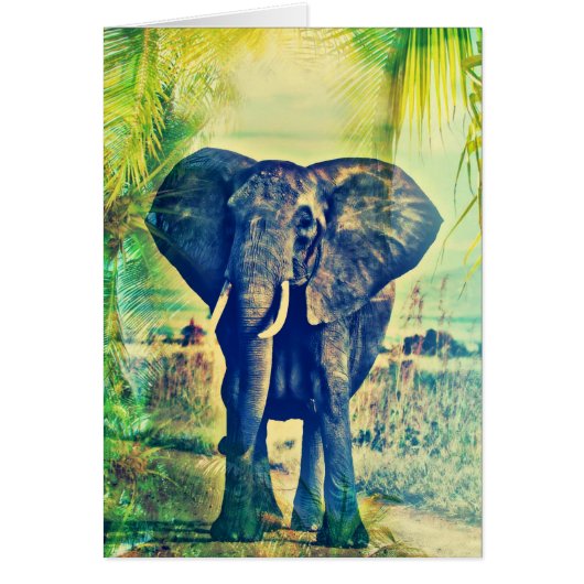 Palmiers éléphants (Devant)