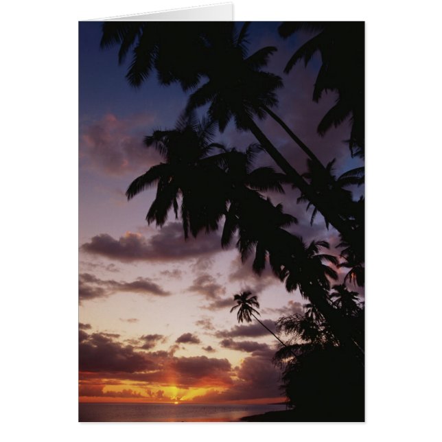 Palmiers en mer (Devant)