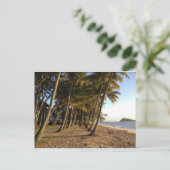 Palmiers et carte postale de plage (Debout devant)