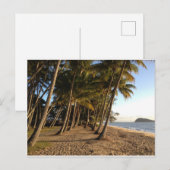 Palmiers et carte postale de plage (Devant / Derrière)