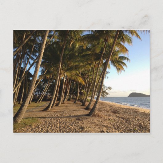 Palmiers et carte postale de plage (Devant)