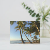 palmiers et mer carte postale (Debout devant)