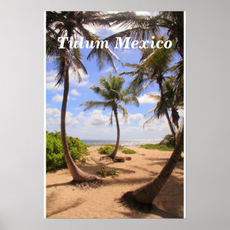 Palmiers et mer des Caraïbes Tulum Mexique Poster