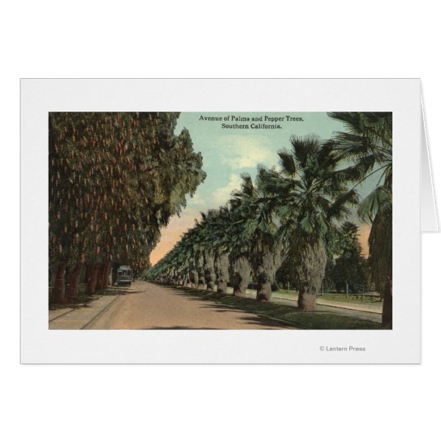 Palmiers et poivriers le long de l'avenue (Devant horizontal)