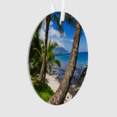Palmiers le long de Hideaways Beach (devant)