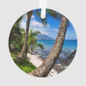 Palmiers le long de Hideaways Beach (dos)