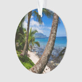 Palmiers le long de Hideaways Beach (devant)