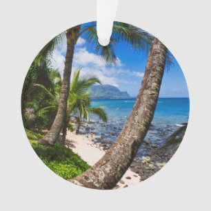 Palmiers le long de Hideaways Beach