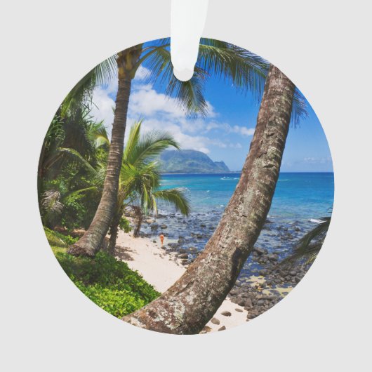 Palmiers le long de Hideaways Beach (devant)