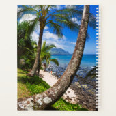 Palmiers le long de la plage de Hideaways (Dos)