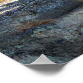 Palmiers racines Banc du parc Poster (Coin)