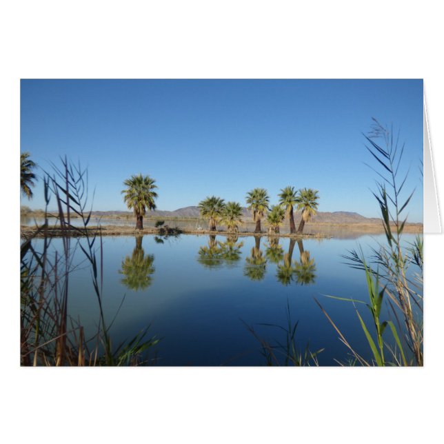 Palmiers reflétés (Devant horizontal)