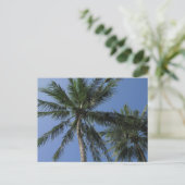 Palmiers sur carte postale (Debout devant)