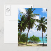 Palmiers sur carte postale du paysage marin tropic (Devant / Derrière)
