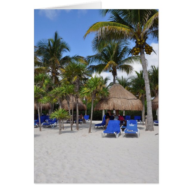 palmiers sur la plage (Devant)