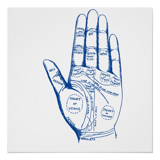  Palmistry Chart Palm Reading Poster Perfect Poster (Voorkant)