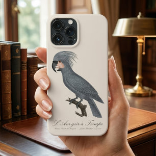Palmkaketoe, Probosciger aterrimus iPhone 13 Pro Max Hoesje