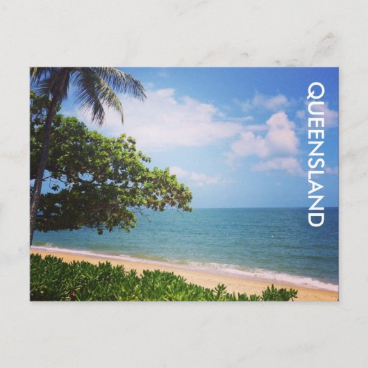 palmkever briefkaart (Voorkant)