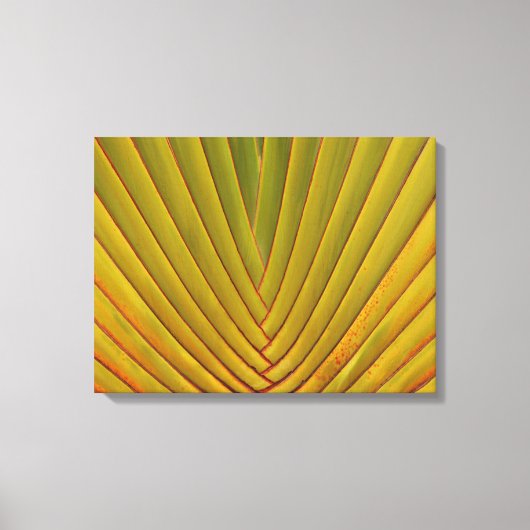 Palmleder Canvas Afdruk (Voorkant)