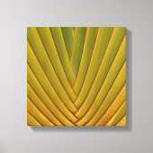 Palmleder Canvas Afdruk (Voorkant)