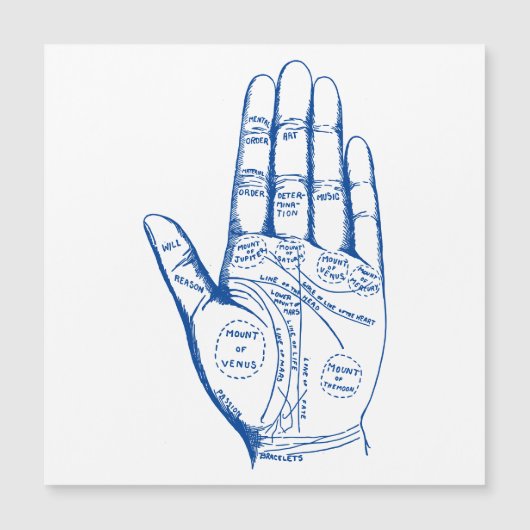  palmlezers magnetische uitnodiging (Voorkant)